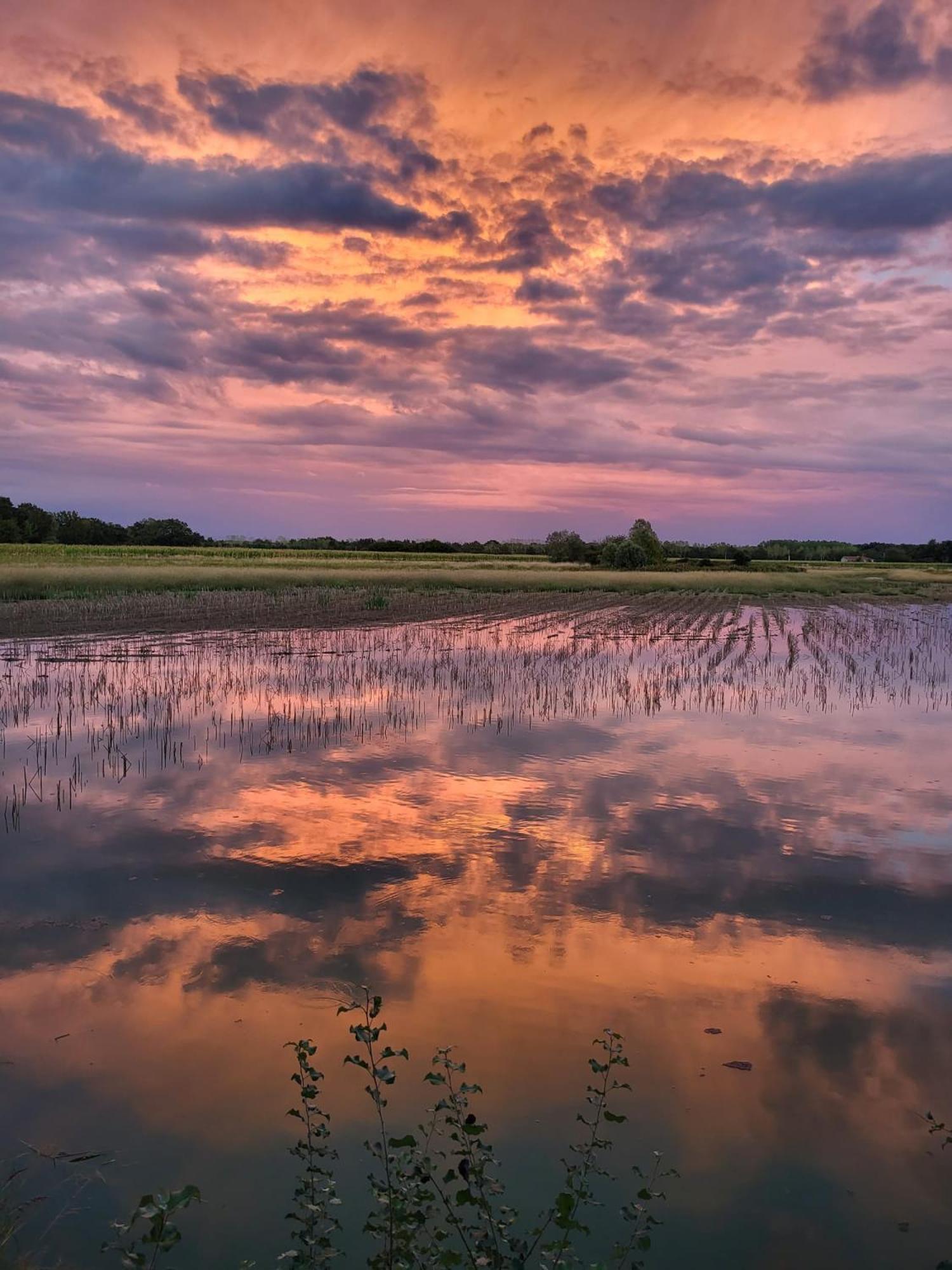 Bed and Breakfast Le Domaine Du Pin Châtillon-sur-Chalaronne Exteriér fotografie